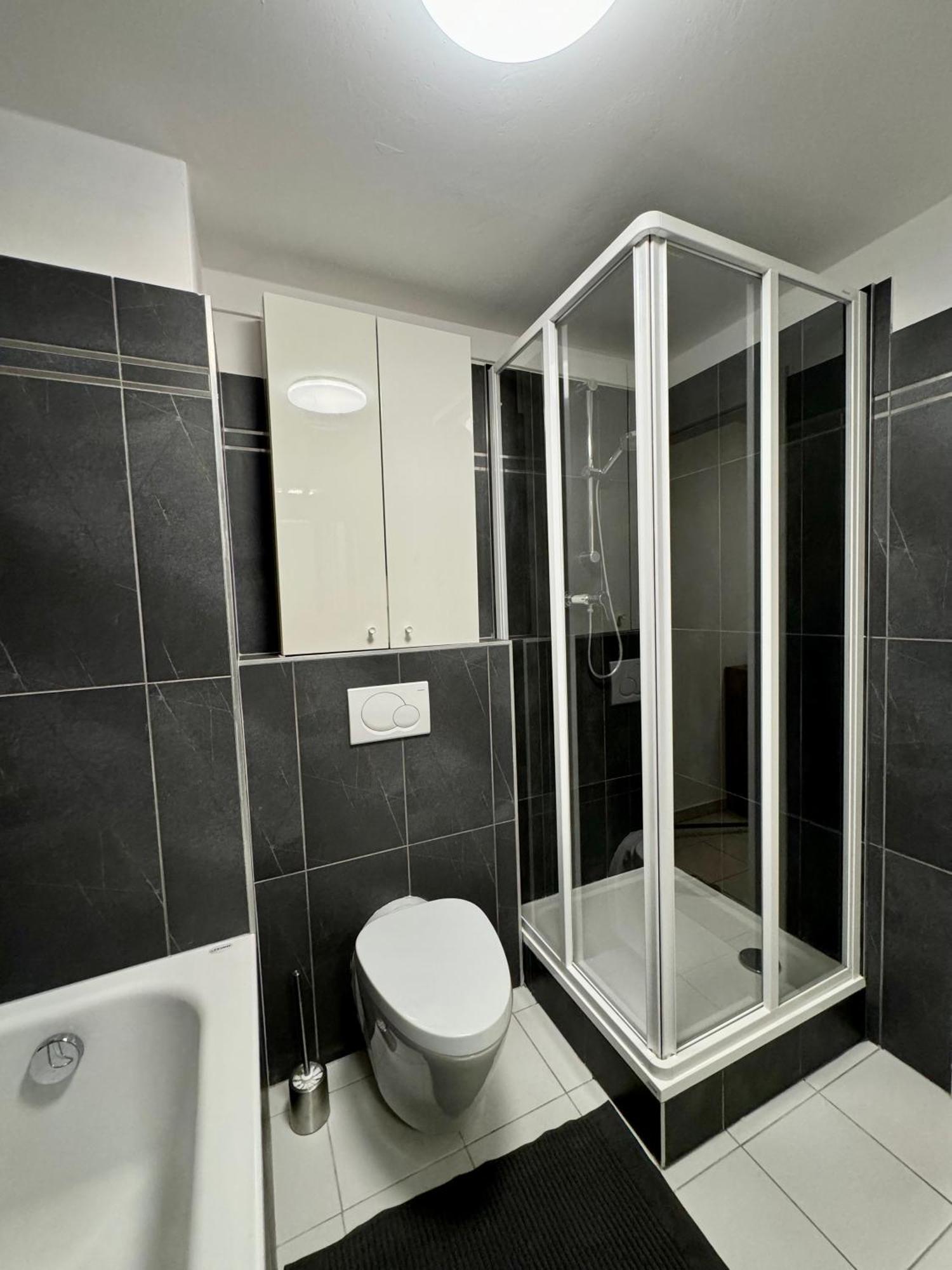 Apartment Dalimilova